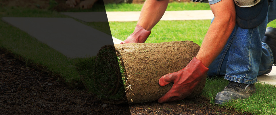 Mancos Landscapers